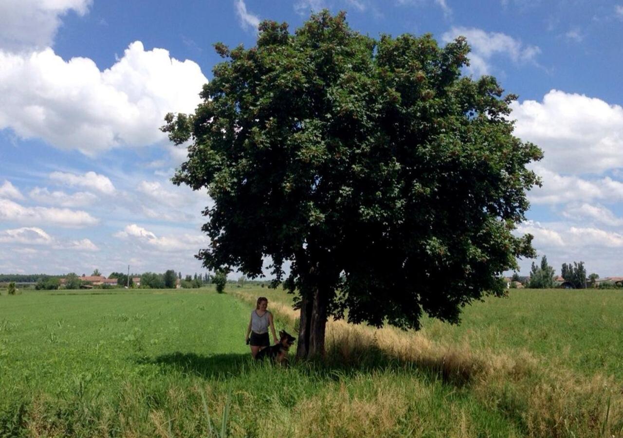 B&B Antica Cascina Boretto Exteriér fotografie